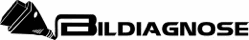 Bildiagnose Logo